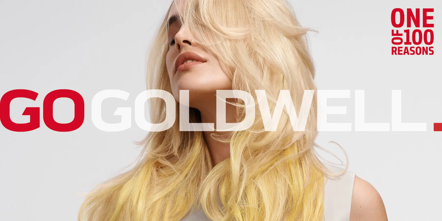 GW-MB-GOGOLDWELL-Home-Fullscreen-Teaser-2