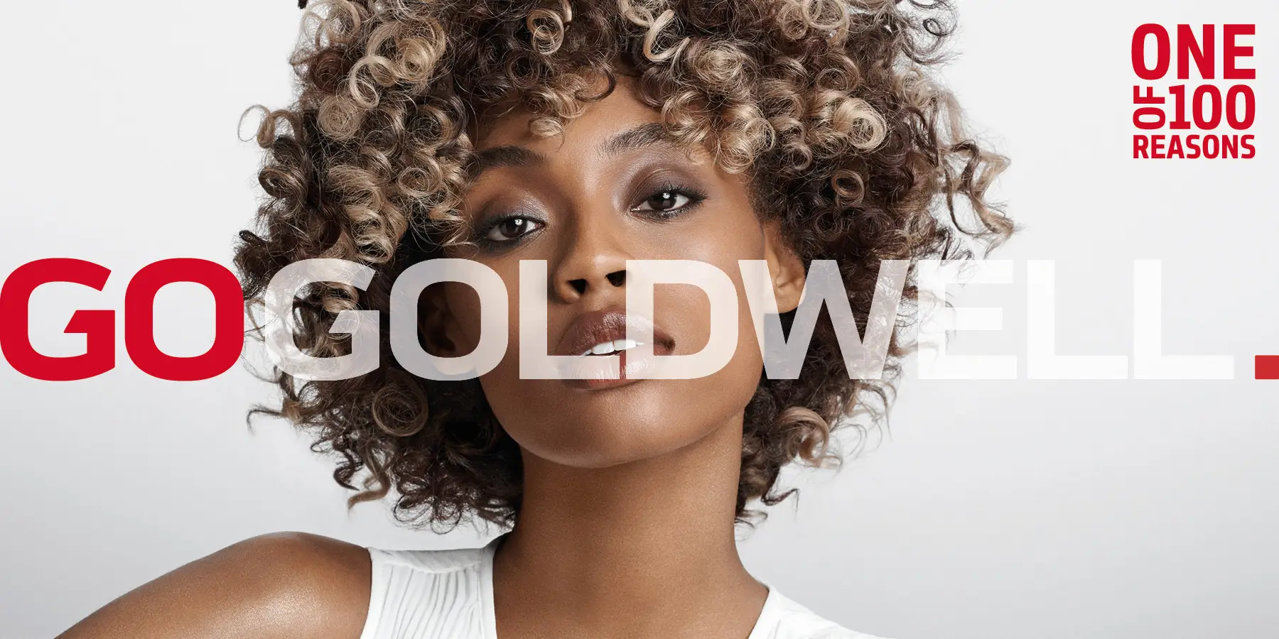 GW-MB-GOGOLDWELL-Home-Fullscreen-Teaser-3